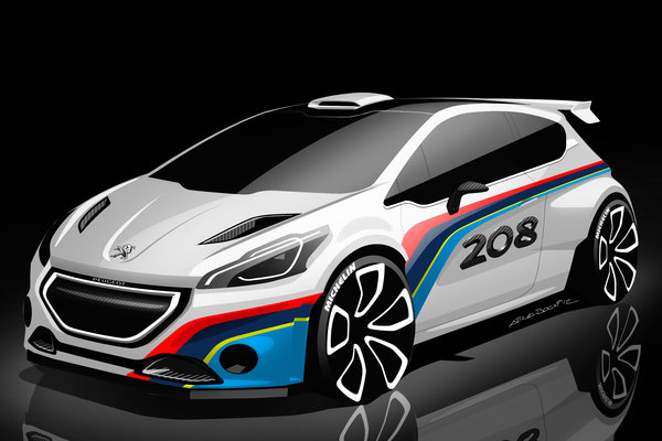 2013 Peugeot 208 Type R5