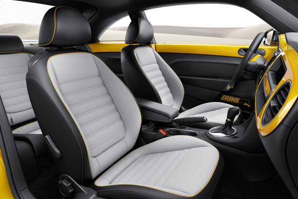 2014 Volkswagen Dune Interior