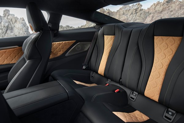 2020 BMW 8-Series M8 Competition Coupe Interior